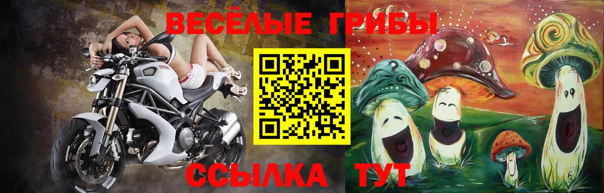 Галлюциногенные грибы мицелий Острогожск